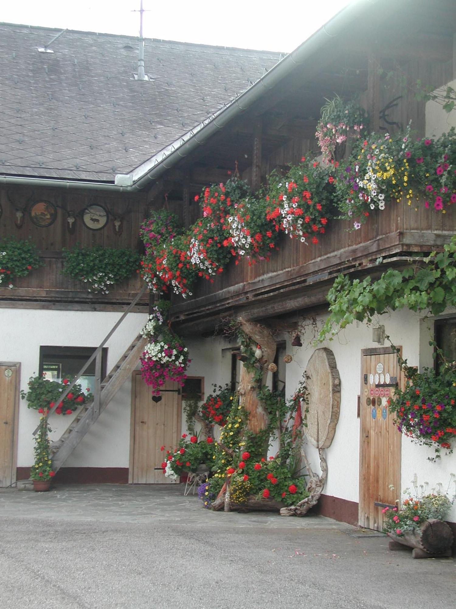 Ferienhof Unterfuehrholzergut Klaus an der Pyhrnbahn Exteriör bild