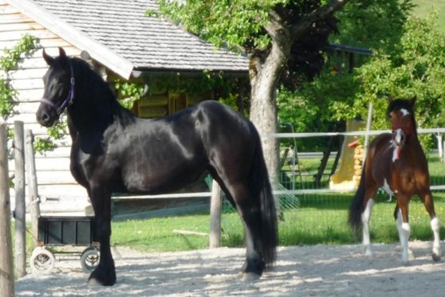 Ferienhof Unterfuehrholzergut Klaus an der Pyhrnbahn Exteriör bild